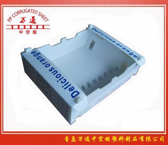 <strong>葡萄包裝箱</strong>